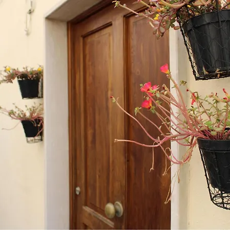 Lumira Vista - Panorama